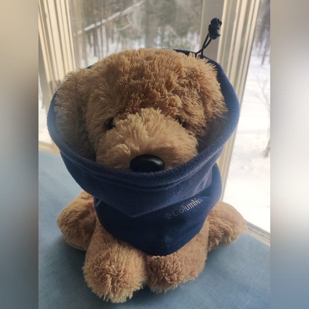 Columbia Plush Bear with Navy Scarf